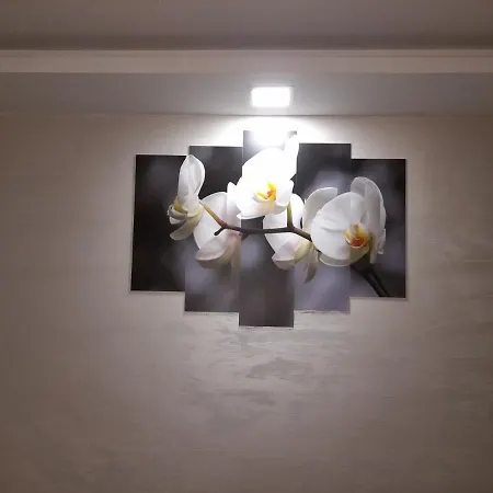 Daca 1 Apartment